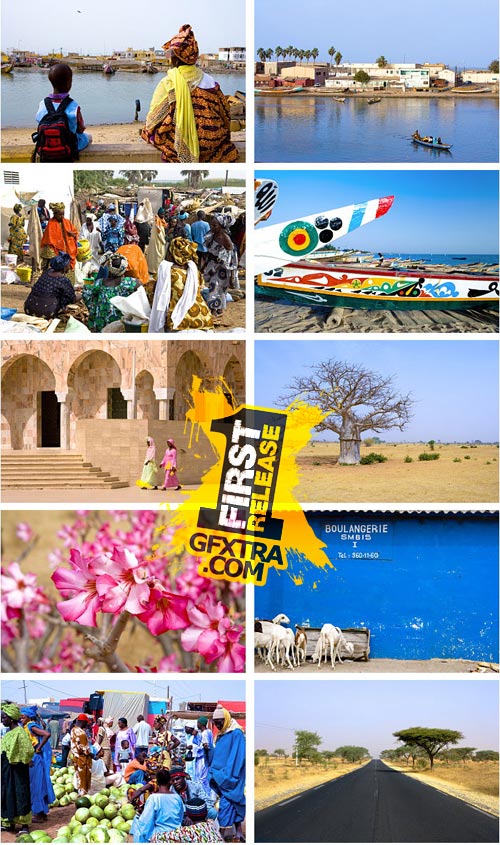 Author's Image 118 Senegal 2 Author's Image 118 Senegal 2