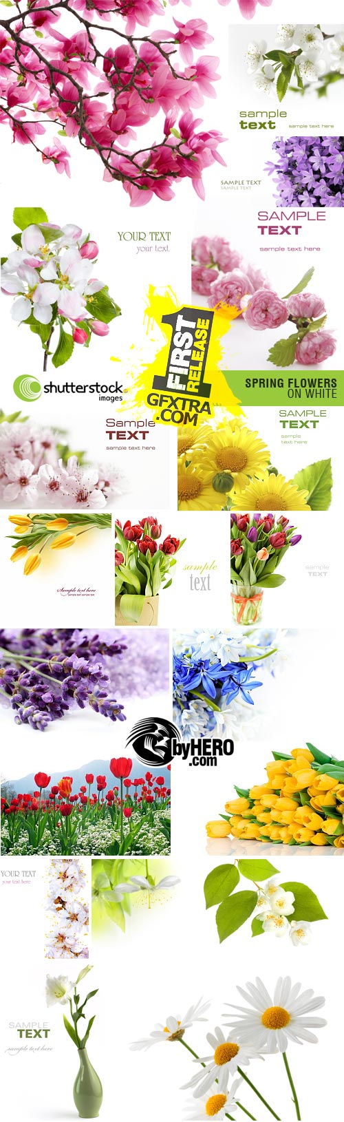 Shutterstock - Spring Flowers 22xJPGs