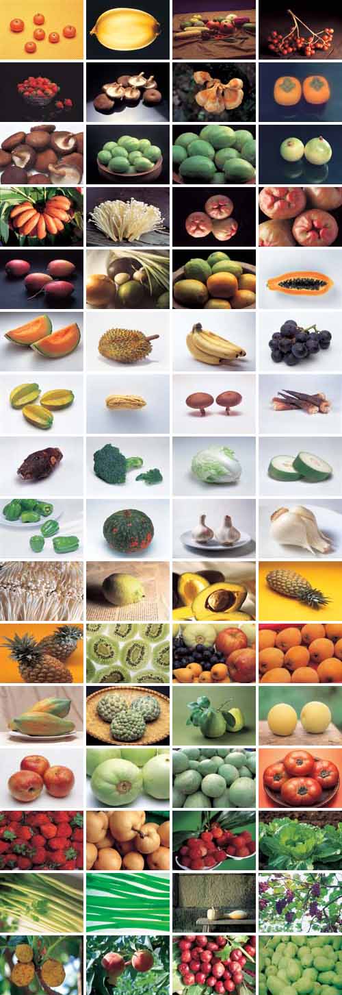 ImageDJ DI083 Fruits & Vegetables