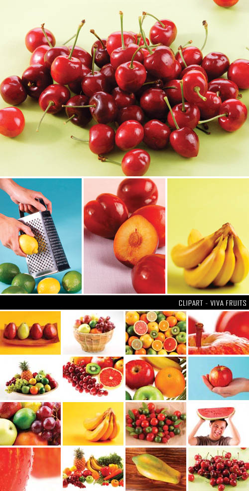 ImageDJ DI134 Viva Fruits