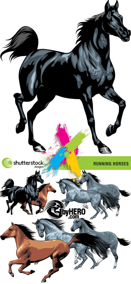 Shutterstock - Running Horses in Vectors 5xEPS BYHERO.COM!