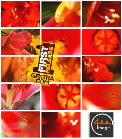 Author's Image 072 Creatives Colors Author's Image 072 Creatives Colors