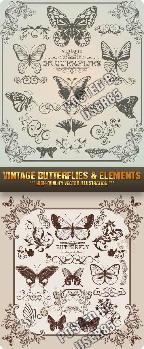 Stock Vector - Vintage Butterflies & Elements