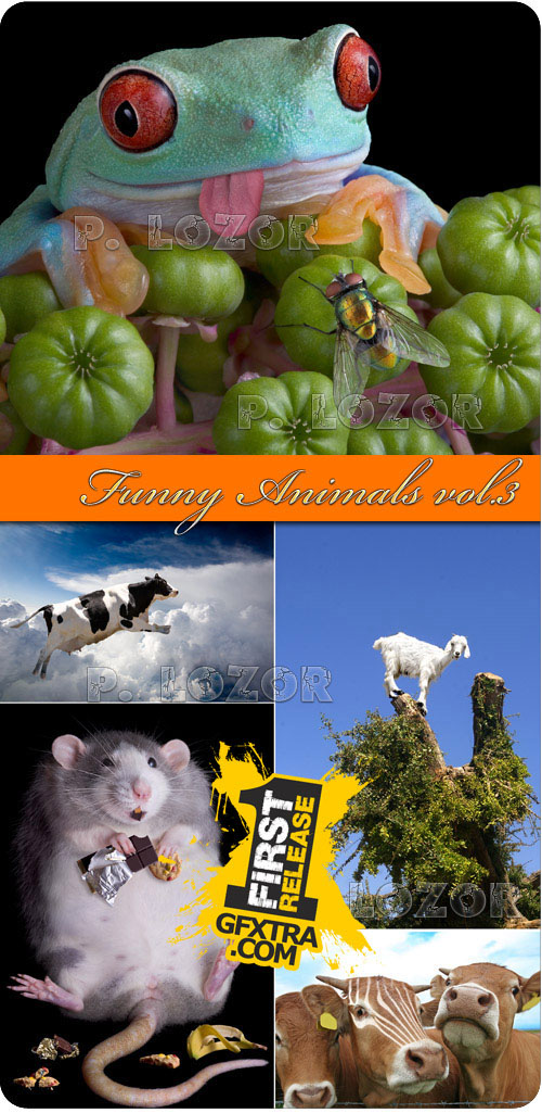 Funny Animals vol.3