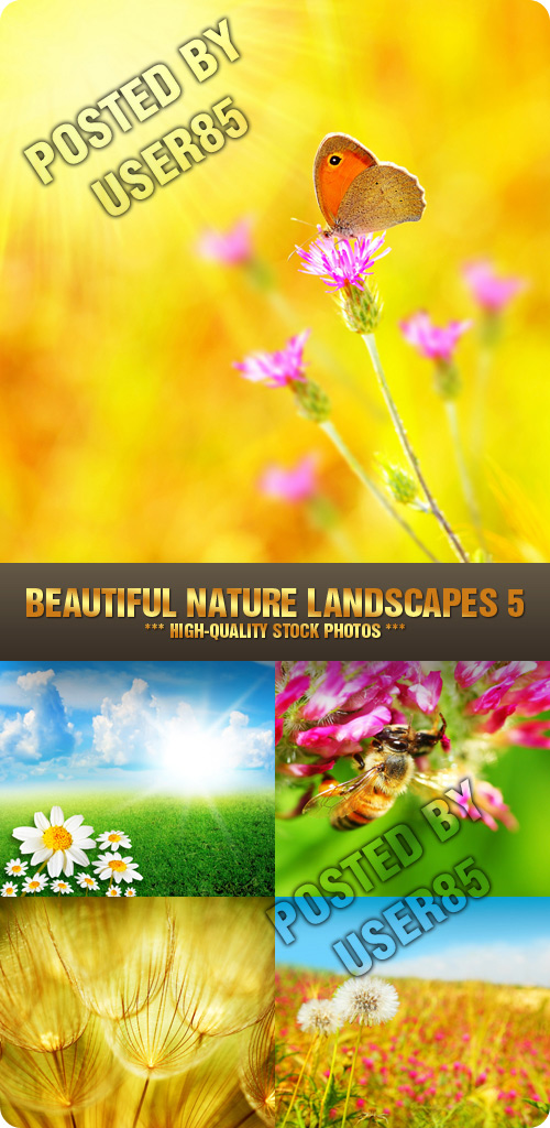 Stock Photo - Beautiful Nature Landscapes 5