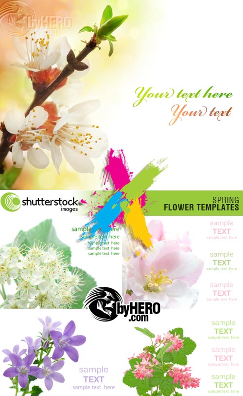 Shutterstock - Spring Flower Templates 5xJPGs