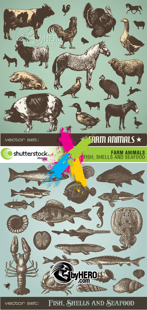 Shutterstock - Animals & Fish Drawn Elements 2xEPS
