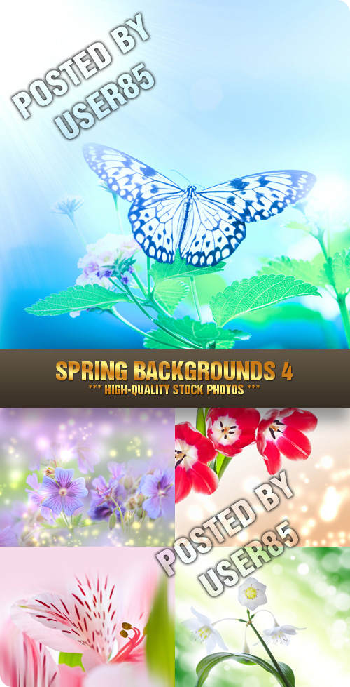 Stock Photo - Spring Backgrounds 4