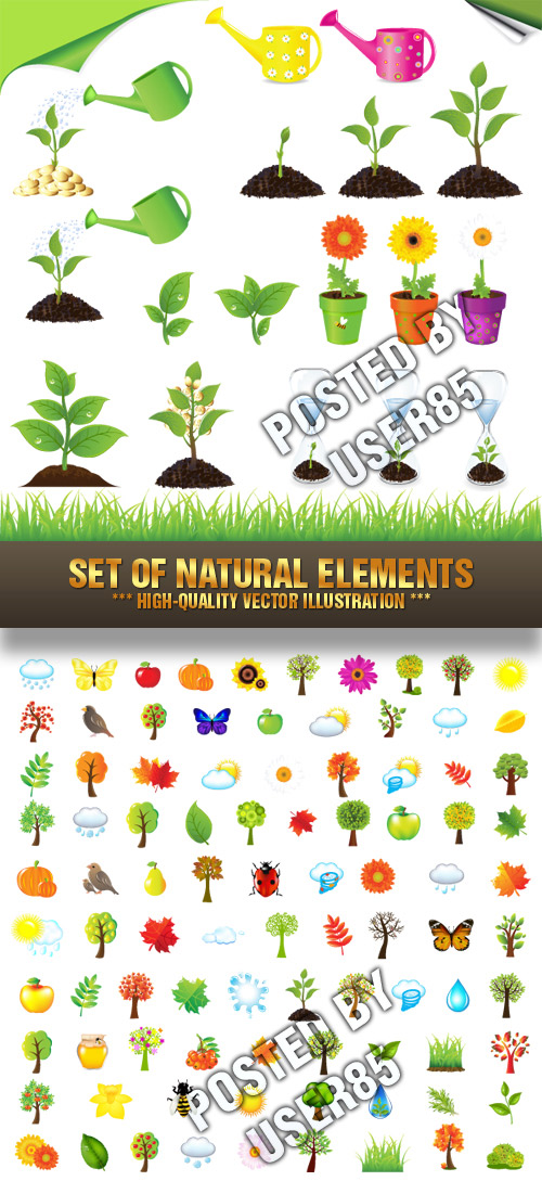 Stock Vector - Set Of Natural Elements
