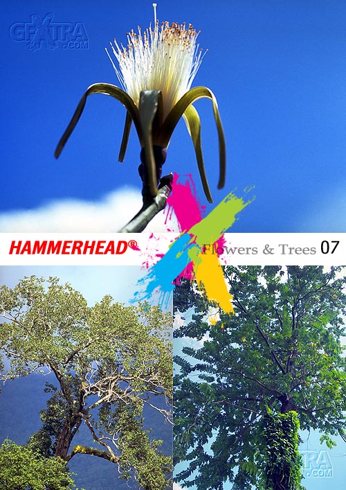 HummerHead 007 Flowers & Trees