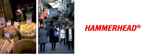 HummerHead 009 Japan