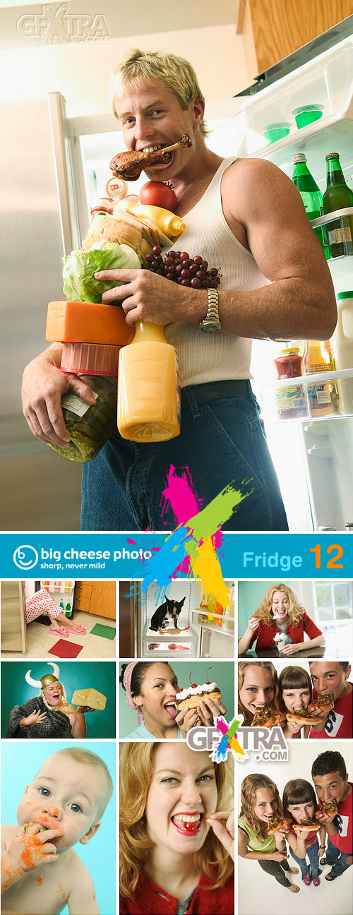 BigCheese Images BCP012 Fridge