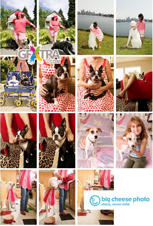 BigCheese Images BCP031 Dog Brea