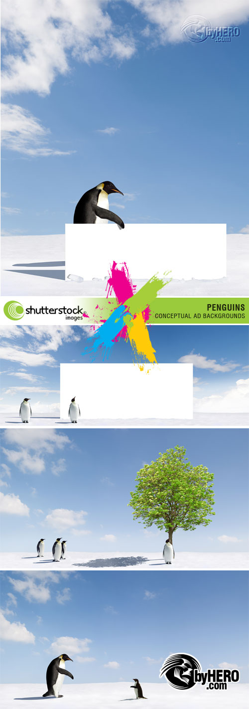 Penguins Conceptual AD Backgrounds 4xJPGs Stock Image SS