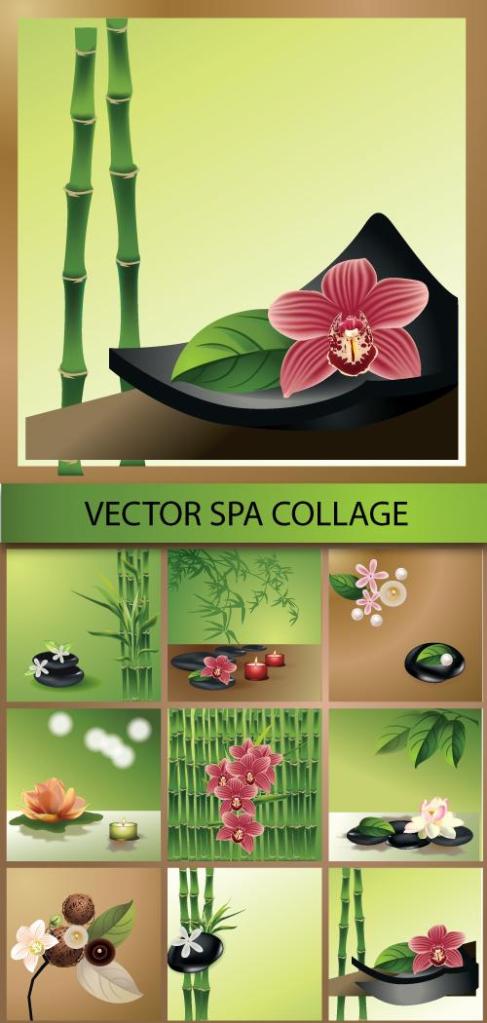 Stock Vectors - spa collage