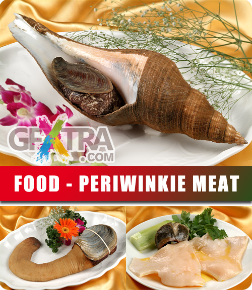 Stock Photo Periwinkie Meat