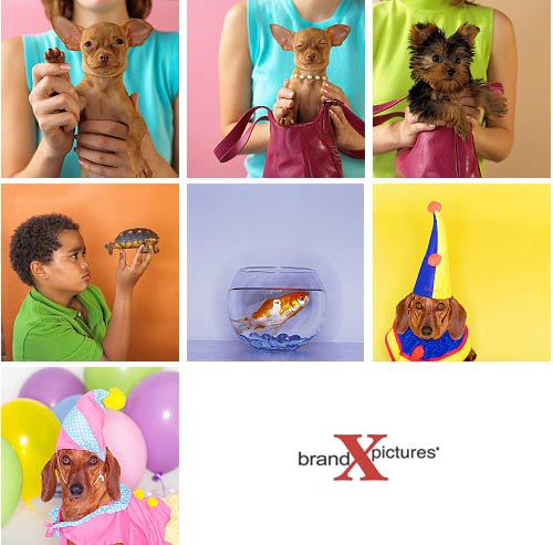 Brand-X X349 Pets and Pet Lovers