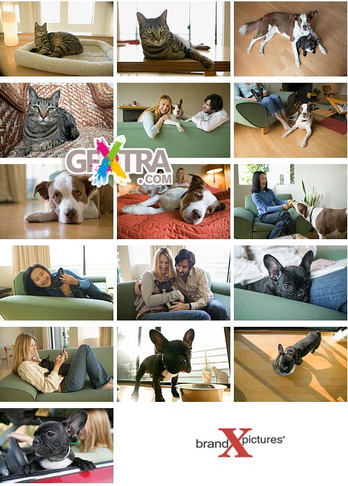 Brand-X X349 Pets and Pet Lovers