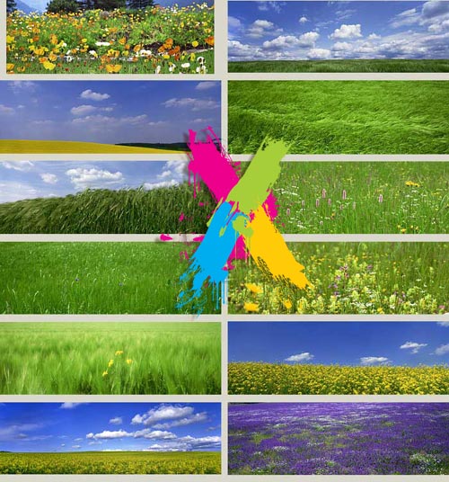 Flowers and Fields - Creatas CRE293