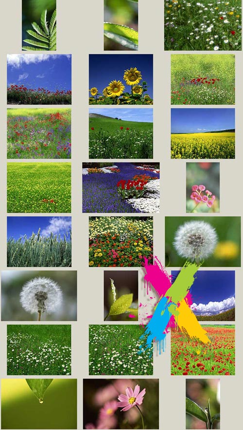 Flowers and Fields - Creatas CRE293