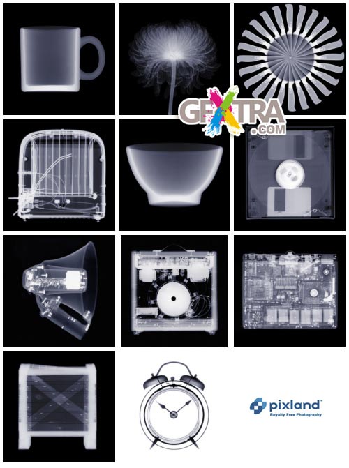 Pixland PX078 X-Rays