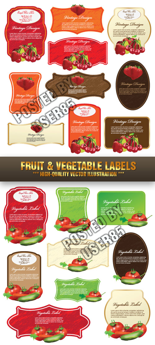 Stock Vector - Fruit & Vegetable Labels