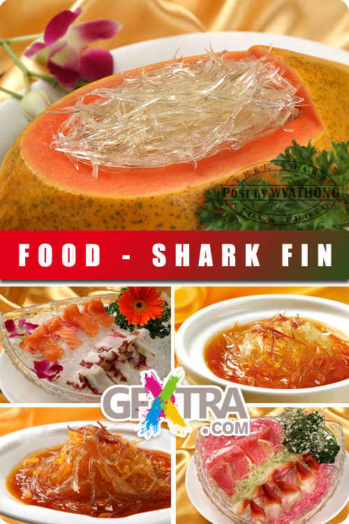 Stock Photo - Shark Fin 1