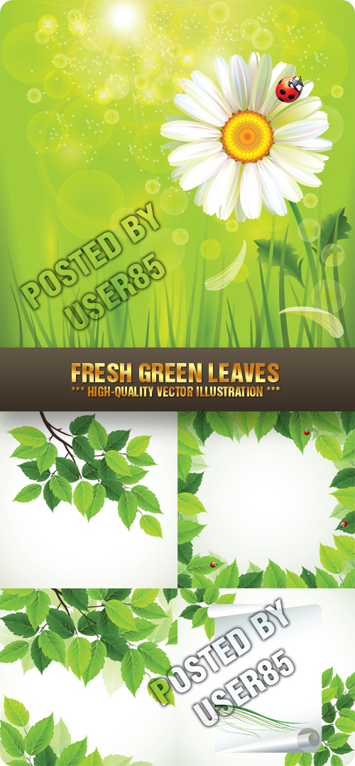 Stock Vector - Fresh Green Leaves
