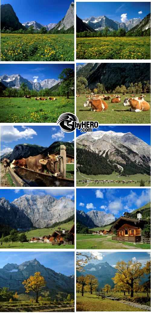 Stock - Alps, Farms and Cows 52xJPGs