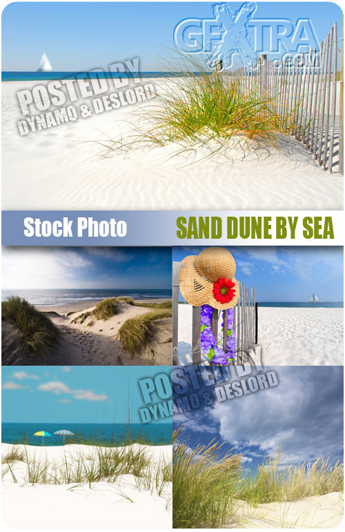 Sand dune by sea - UHQ Stock Photo