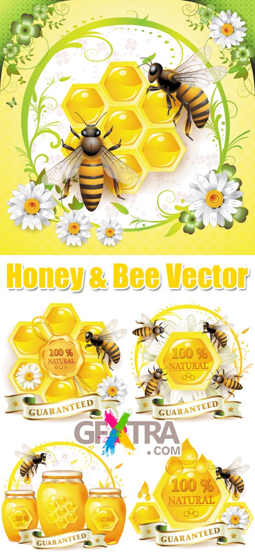 Honey & Bee Vector