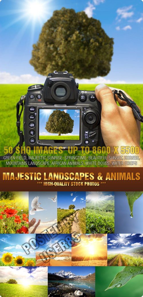 Stock Photo - Majestic Landscapes & Animals