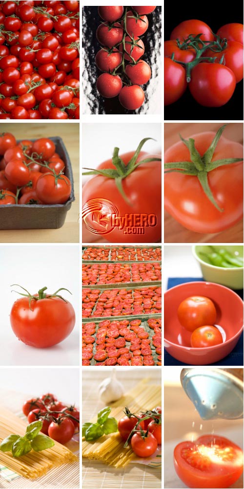 Tomatoes 72xJPGs