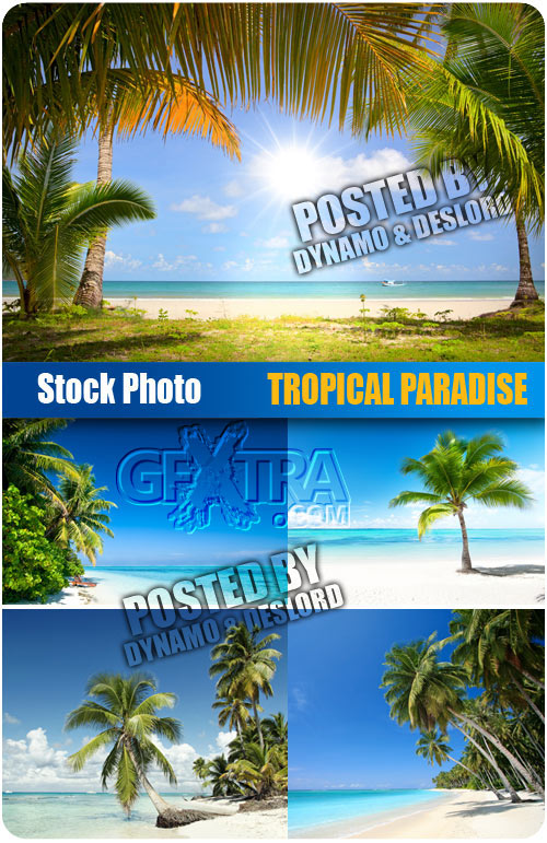 Tropical paradise - UHQ Stock Photo