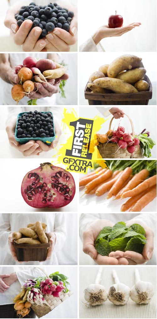 Image Source IS495 Organic Foods