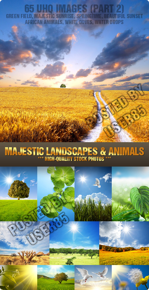 Stock Photo - Majestic Landscapes & Animals 2