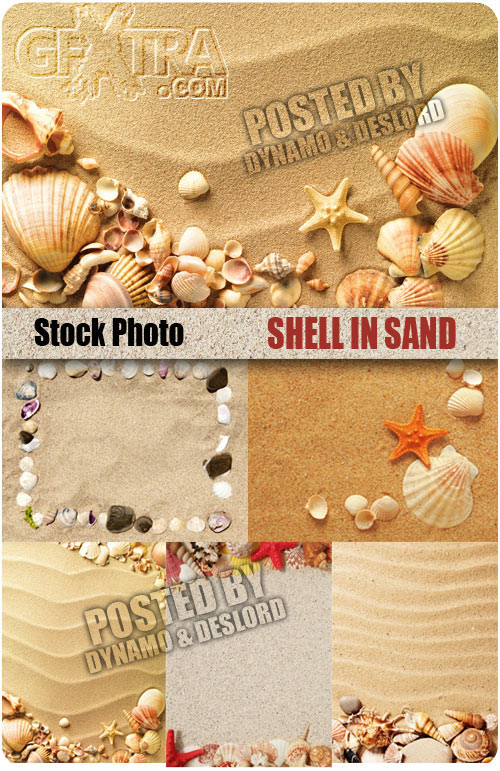 Shell in sand - UHQ Stock Photo