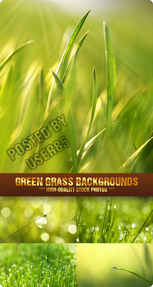 Stock Photo - Green Grass Backgrounds
