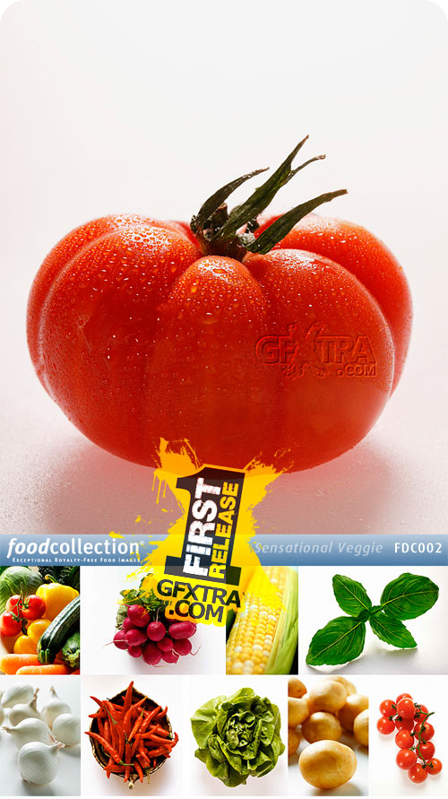 FoodCollection FDC002 Sensational Veggie