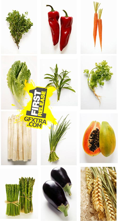 FoodCollection FDC004 Cooking Essentials 2