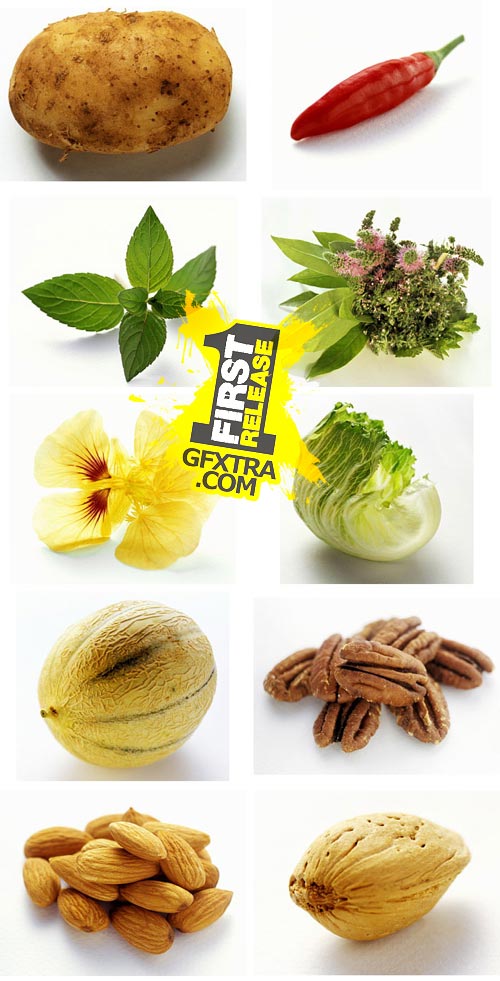 FoodCollection FDC004 Cooking Essentials 2