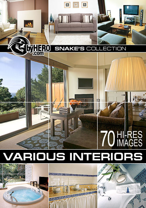 Various Interiors 1 of 7 - Snake&rsquo;s Collection