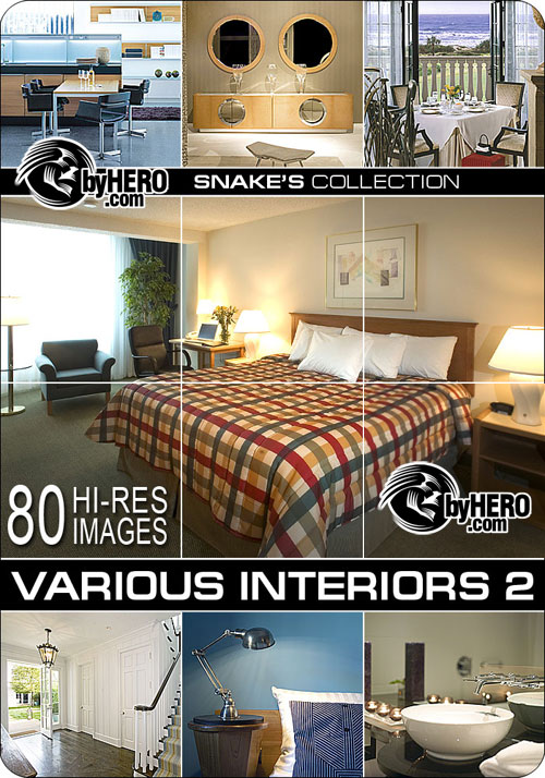 Various Interiors 2 of 7 - Snake&rsquo;s Collection