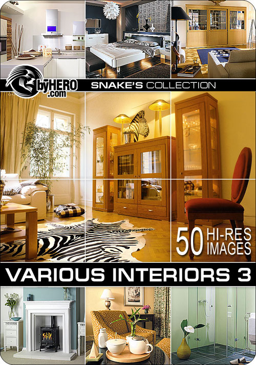 Various Interiors 3 of 7 - Snake&rsquo;s Collection
