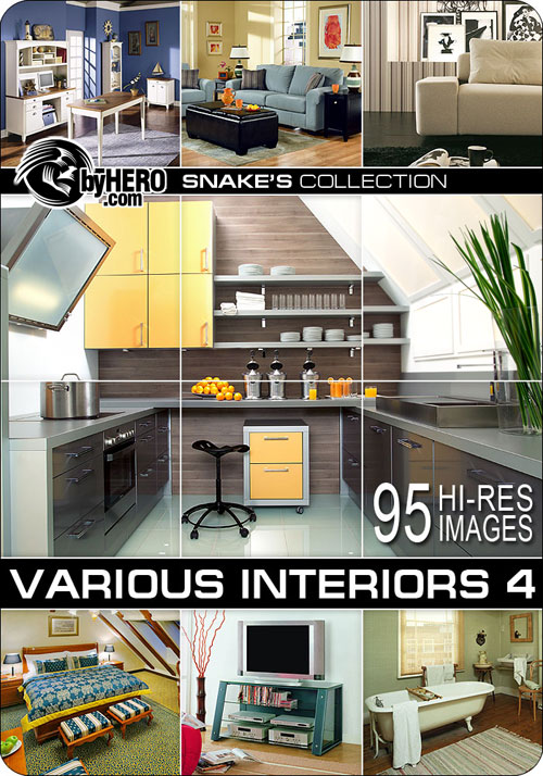 Various Interiors 4 of 7 - Snake&rsquo;s Collection