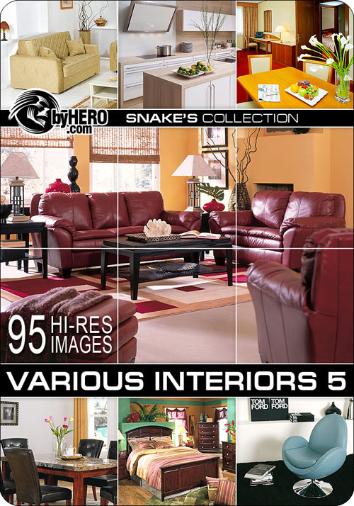 Various Interiors 5 of 7 - Snake&rsquo;s Collection