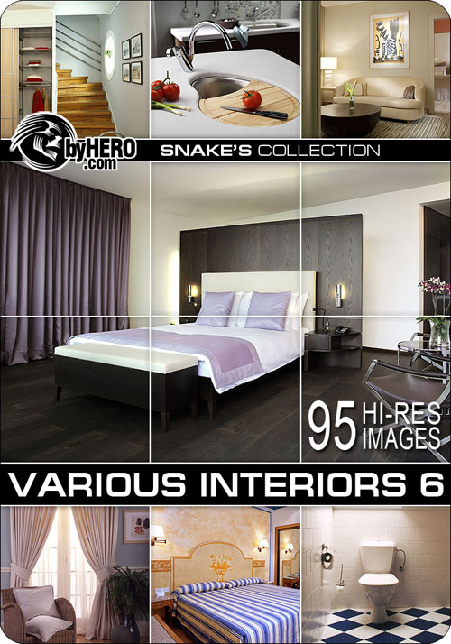 Various Interiors 6 of 7 - Snake&rsquo;s Collection