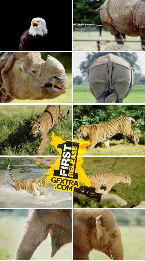 Image100 Vol.0020 Wildlife & Animals