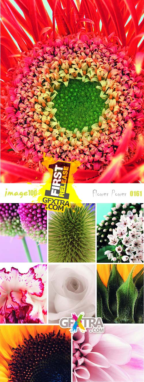 Flower Power - Image100 Vol.0161