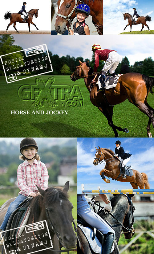 Stock Photo - Horse and jockey